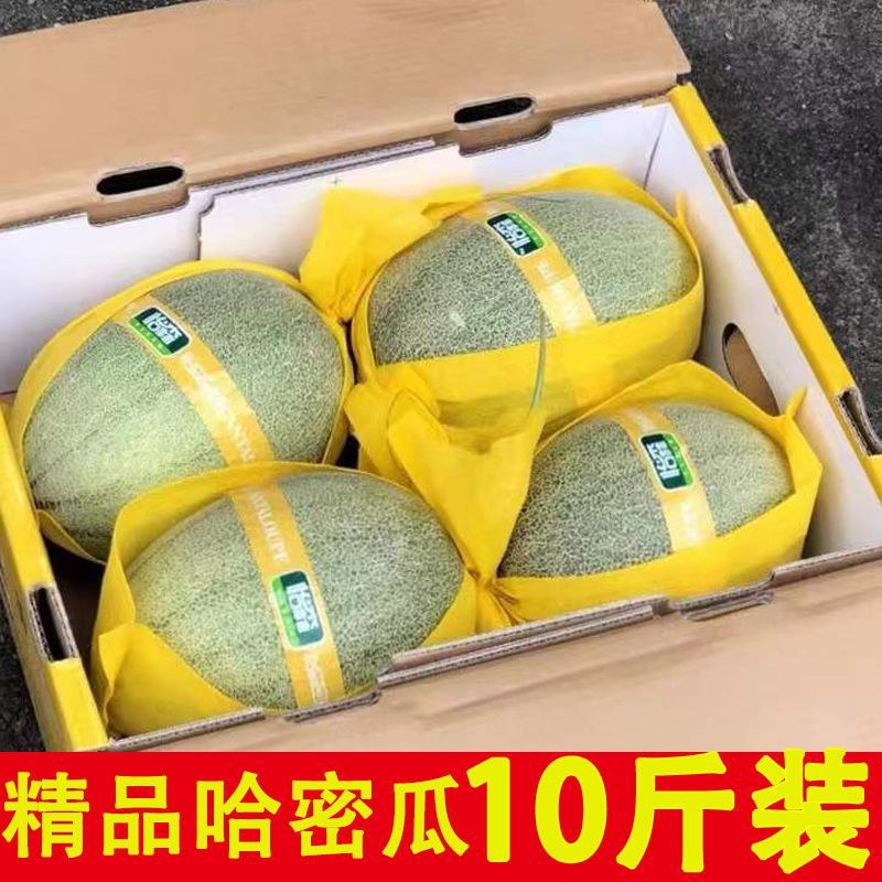 海南直发哈密瓜25号，接所有电商一件代发，量大滴滴