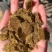 新疆棉籽饼牛羊好料养殖好帮手蛋白高育肥好