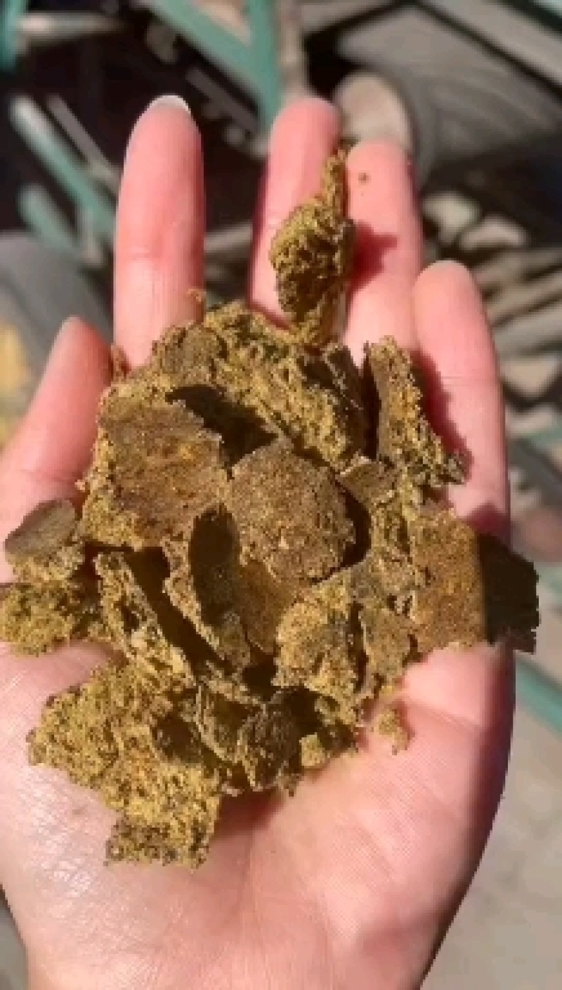 新疆棉籽饼牛羊好料养殖好帮手蛋白高育肥好