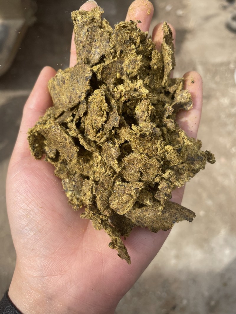 新疆棉籽饼牛羊好料养殖好帮手蛋白高育肥好