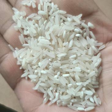 大米精品大米批发零售商超品质货源充足量大从优