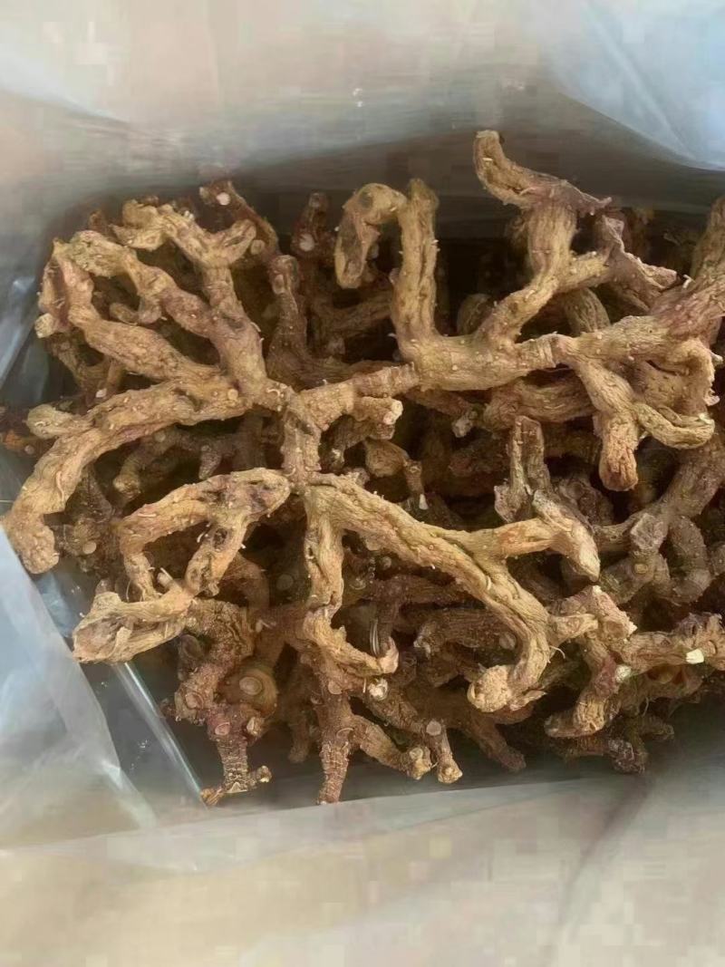 黄精黄盘精状、黄熟精片料投、黄精白片、九蒸九黄晒精、