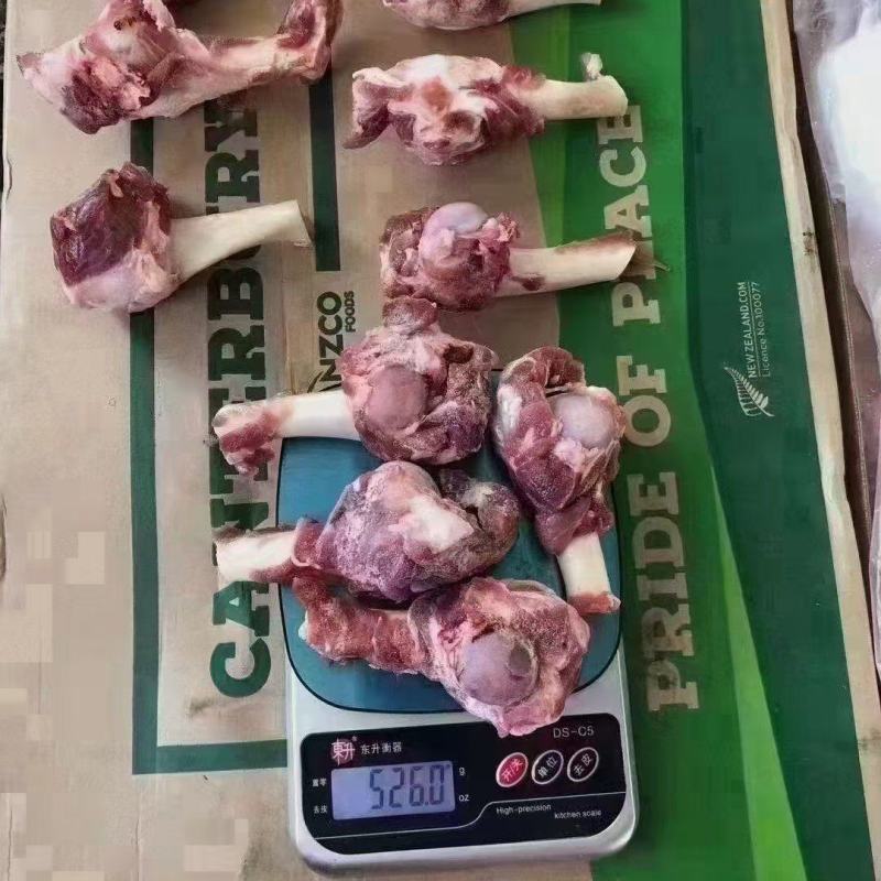 羊棒骨，羔羊棒骨。羔羊前腿棒骨。羔羊肱骨，羔羊前腿骨