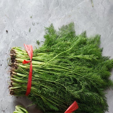 河北精品扁杆茴香产地一手货源可视频看货欢迎来电咨询