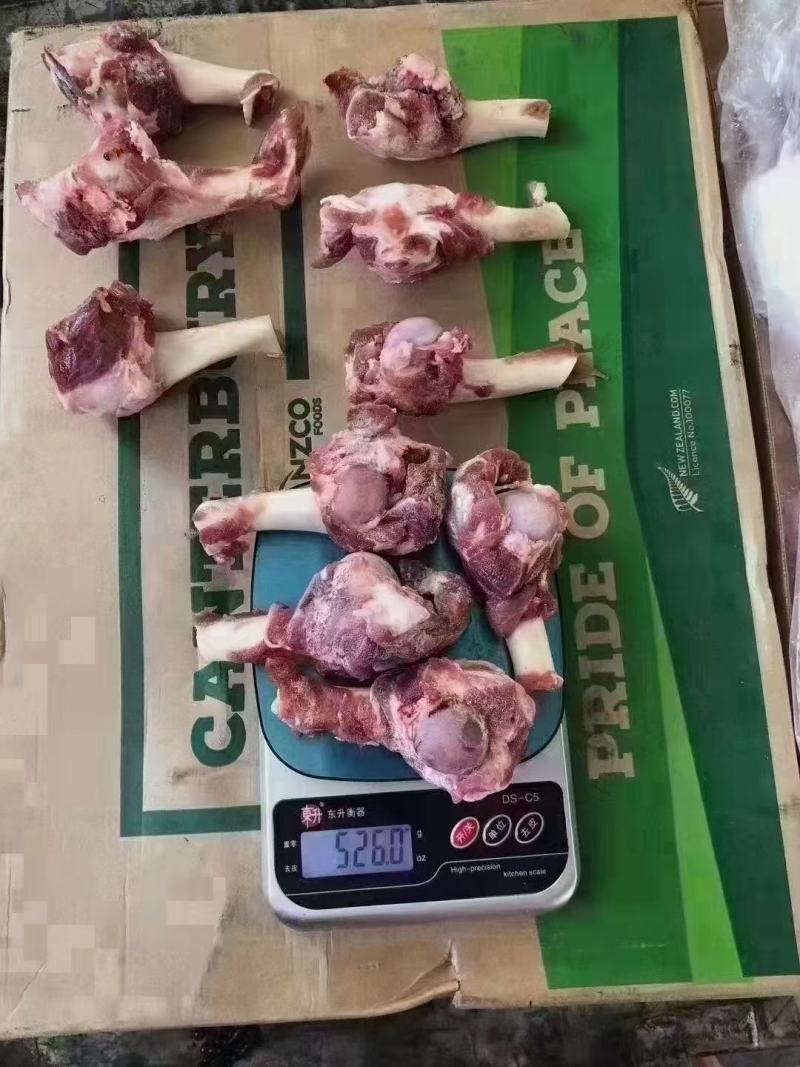 羊棒骨，羔羊棒骨。羔羊前腿棒骨。羔羊肱骨，羔羊前腿骨