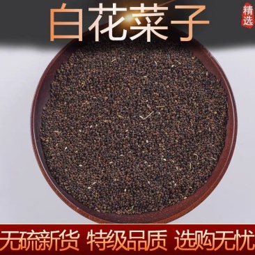 白花菜子中药材白花菜子野生欢迎下单