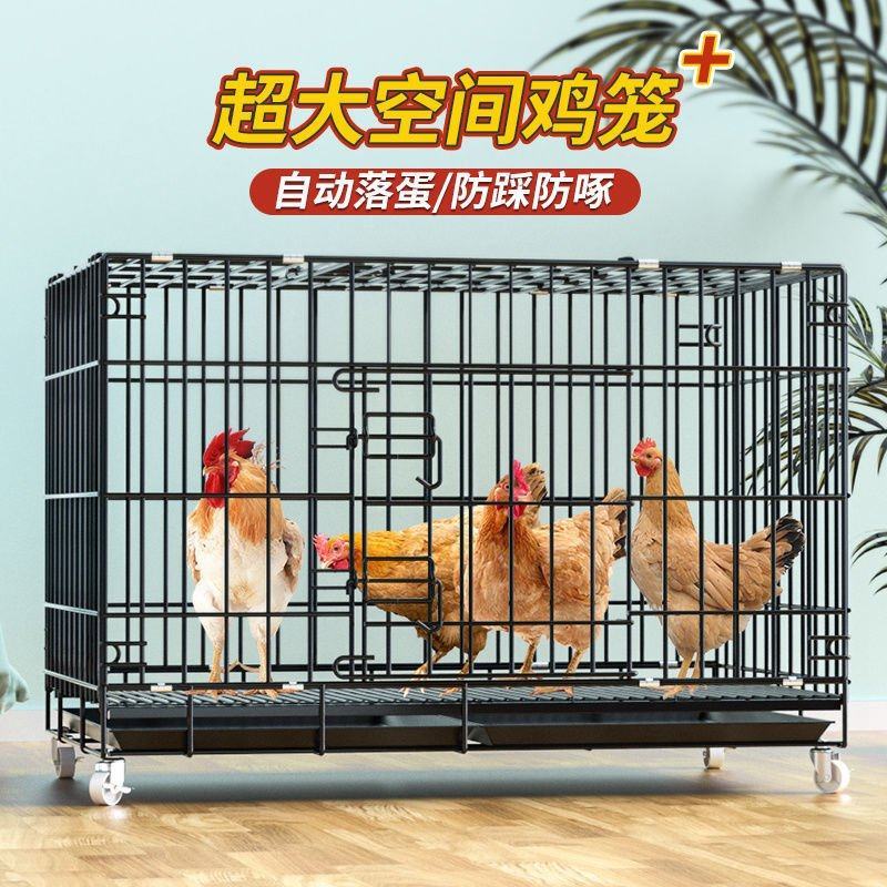 鸡笼子大号特大养殖笼自动清粪鸡舍家用家庭鸡笼多层鸡笼鸭笼