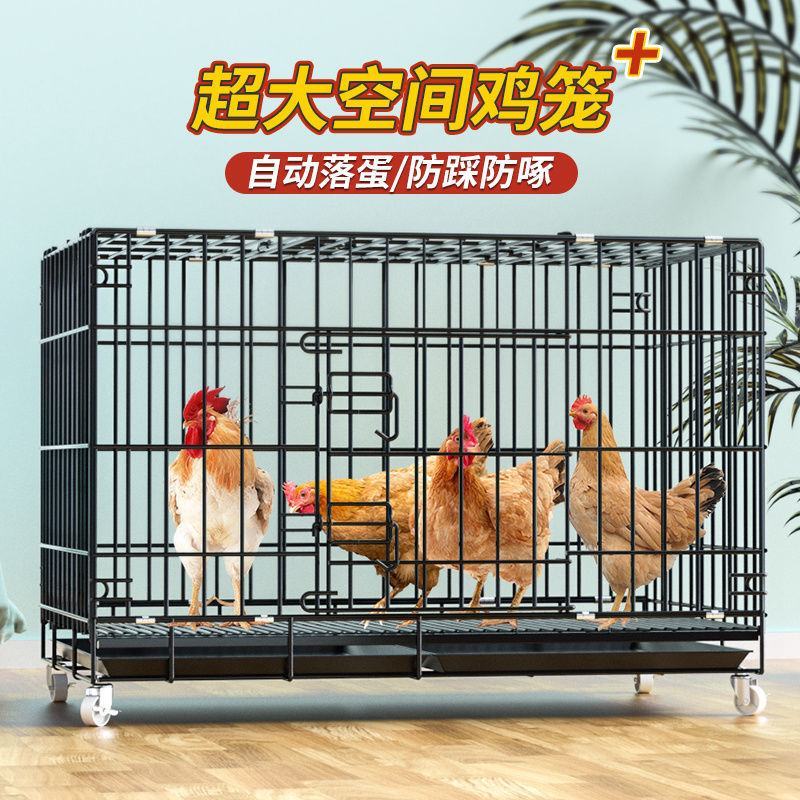 鸡笼子大号特大养殖笼自动清粪鸡舍家用家庭鸡笼多层鸡笼鸭笼