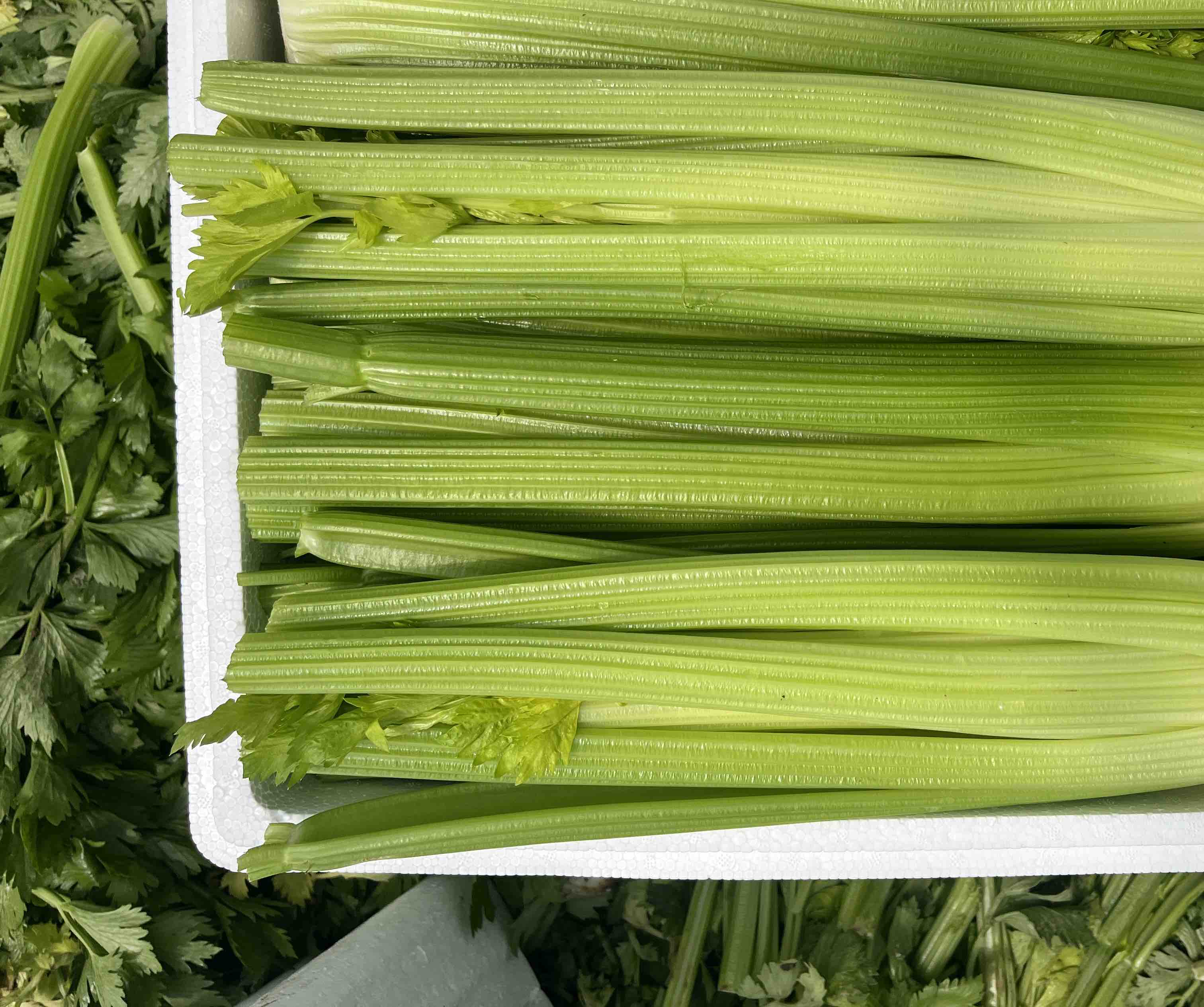 西芹与腐竹的预处理过程