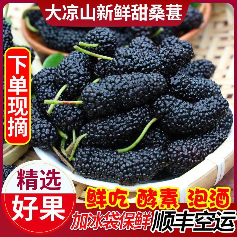 大凉山桑椹，鲜桑椹孕妇儿童水果免洗，泡酒果酒佳选精选采摘