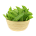 【荷兰豆】荷兰豆河南新野荷兰豆大量出货质优价廉对接全国