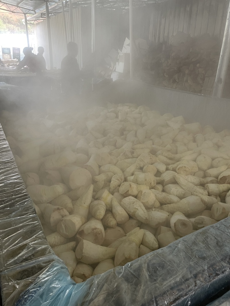 高山黄泥春笋干