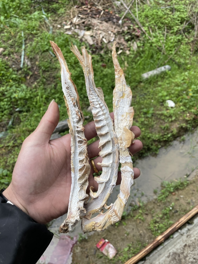 高山黄泥春笋干