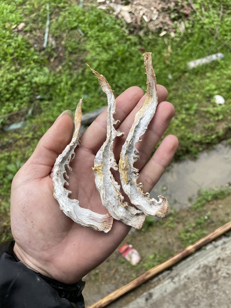 高山黄泥春笋干