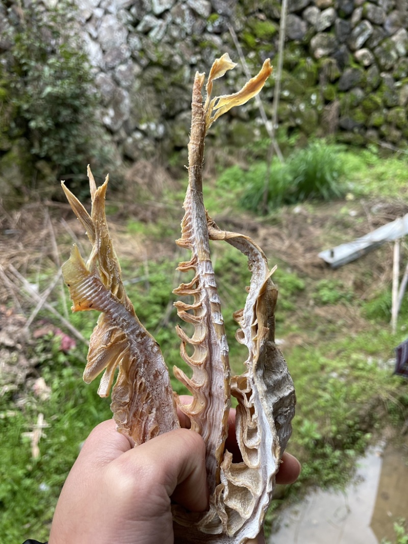 高山黄泥春笋干