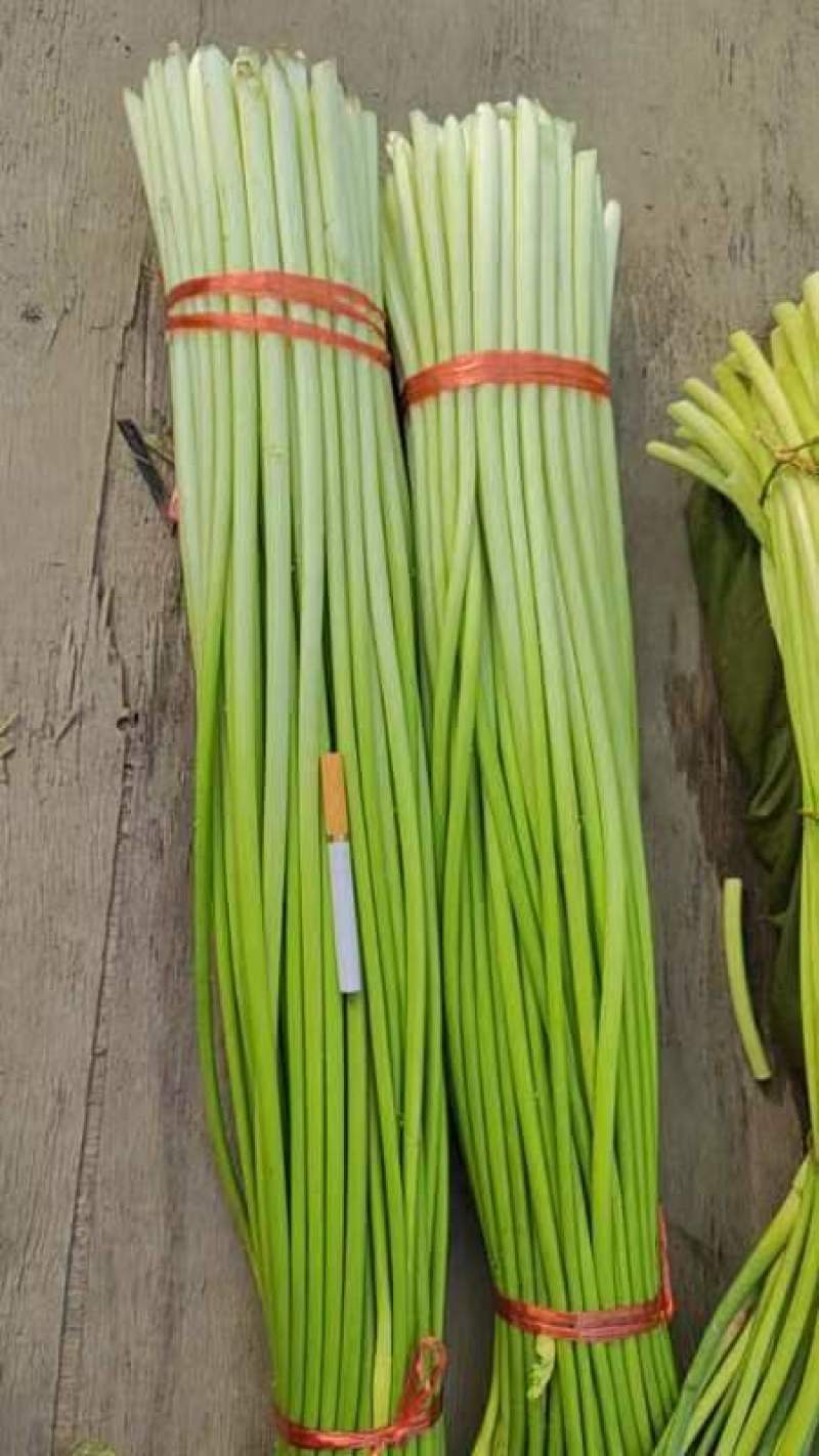 商丘白帽蒜苔上市，支持各种包装…有冷库免费提供