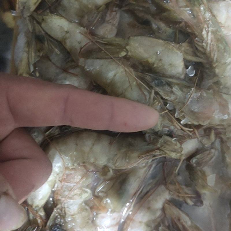 大虾