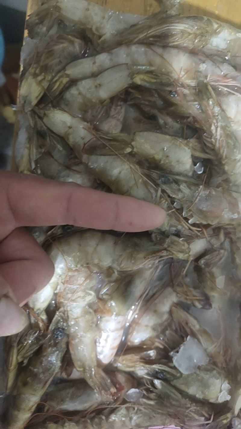 大虾