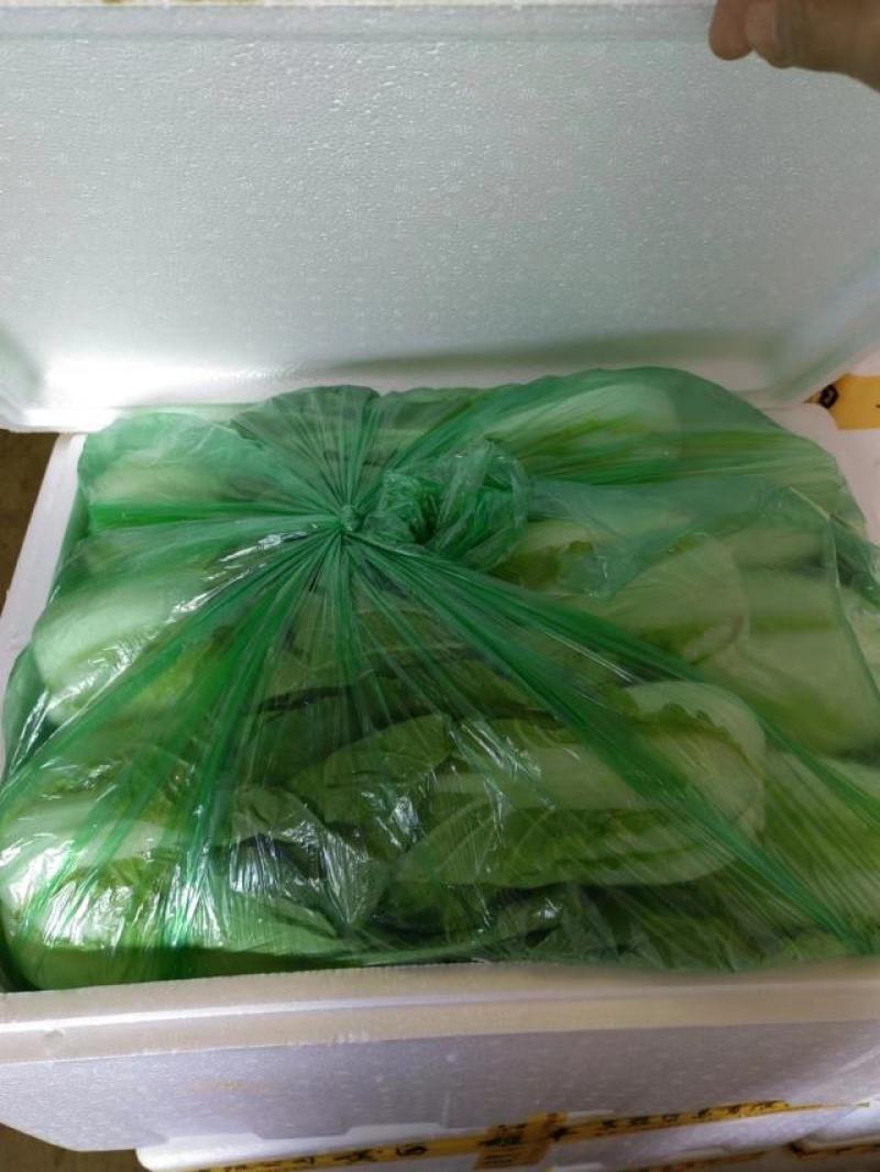 精品蔬菜白菜