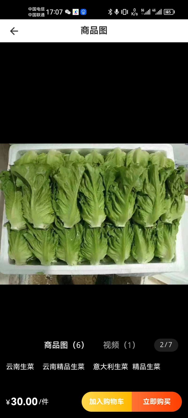 精品蔬菜意大利生菜