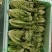 精品蔬菜意大利生菜
