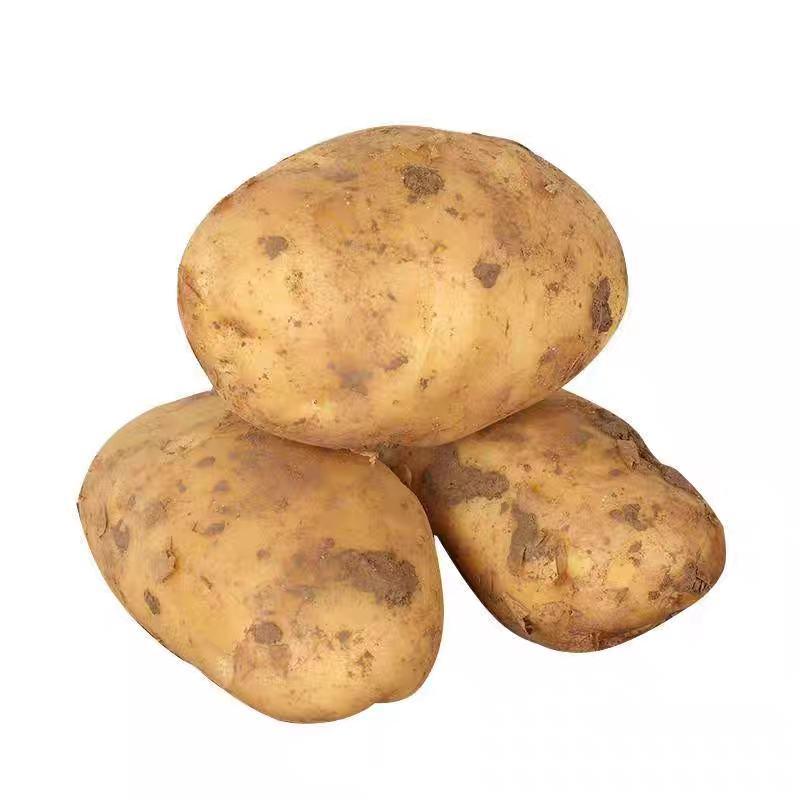 [土豆]黄心土豆马铃薯产地直发规格齐全欢迎订购
