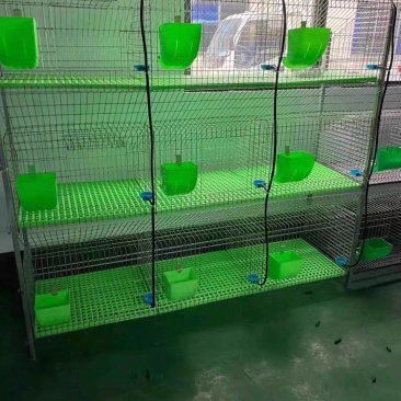 新款兔笼具加粗加密兔笼价格便宜