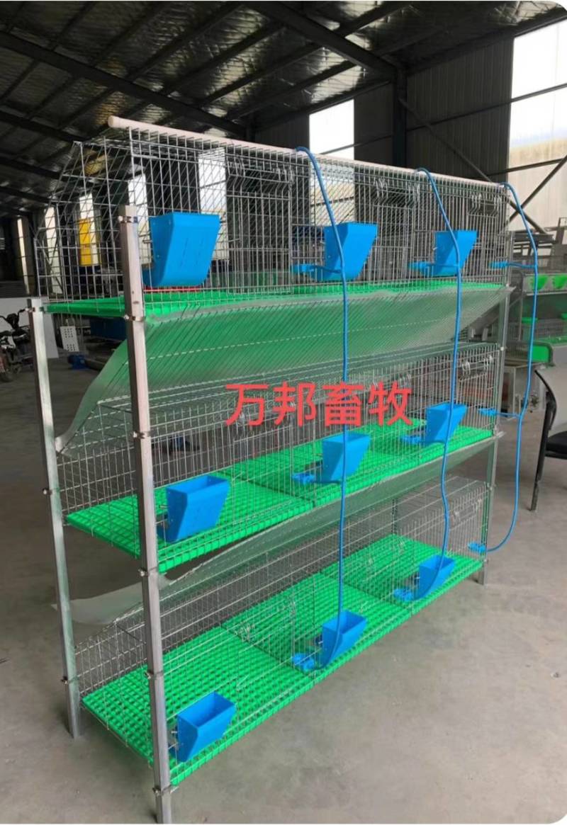 新款兔笼具加粗加密兔笼价格便宜