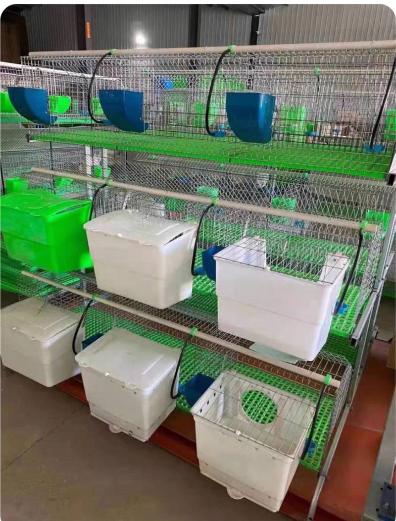 新款兔笼具加粗加密兔笼价格便宜