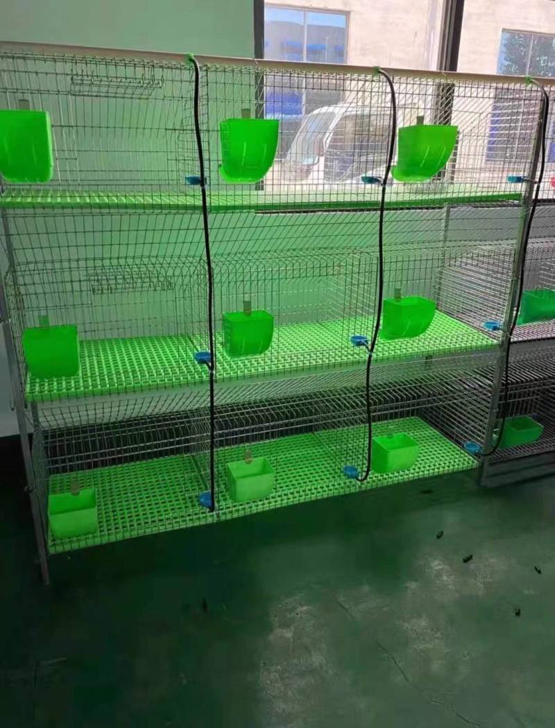 新款兔笼具加粗加密兔笼价格便宜