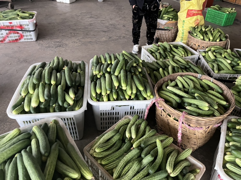 伊丽莎白甜瓜在市场中销售的场景