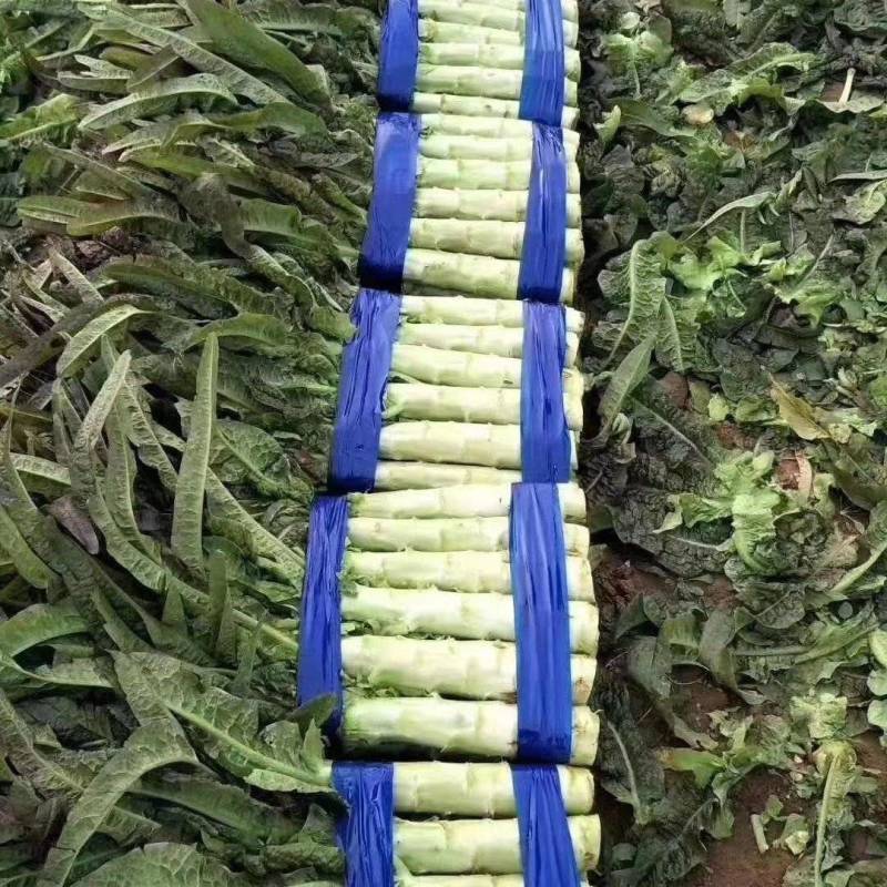 【精品】河南莴笋精品三青皮莴笋产地直发可承接电商
