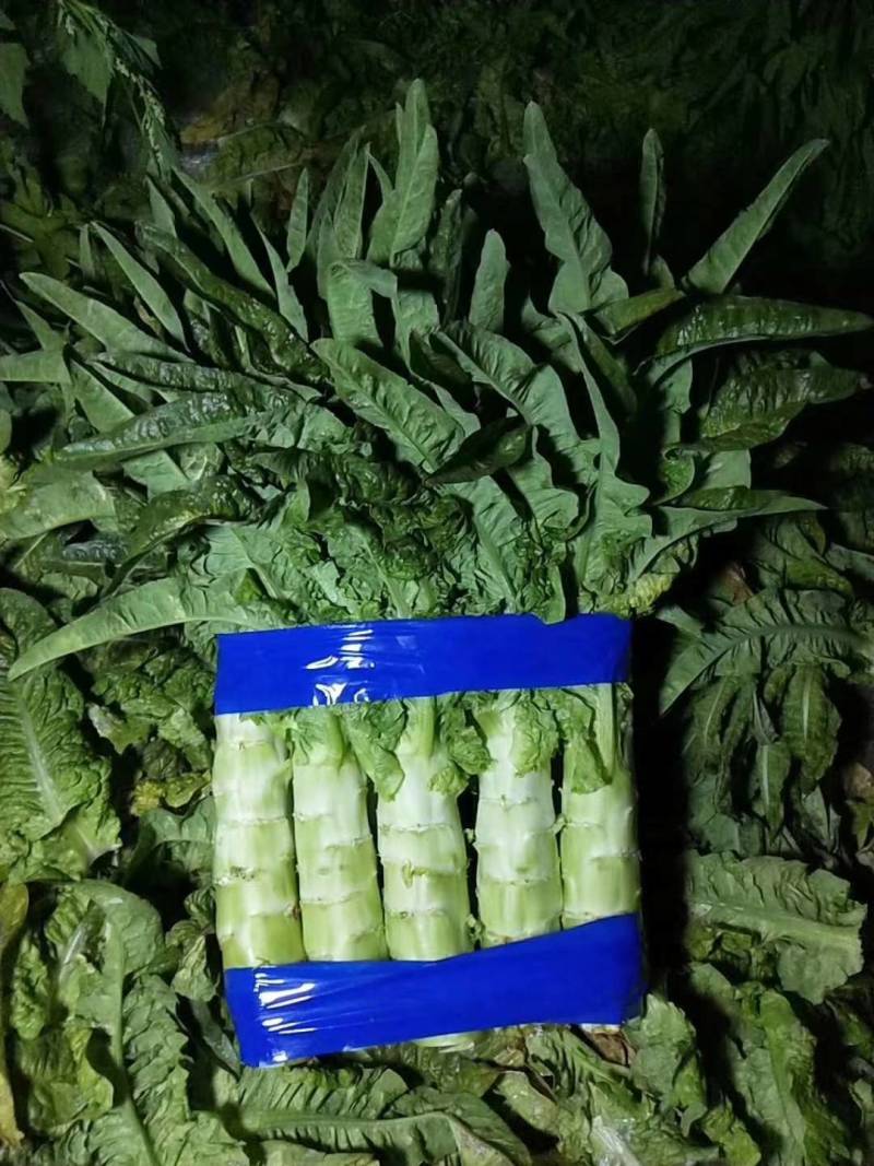 【精品】河南莴笋精品三青皮莴笋产地直发可承接电商