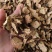 中药材金荞麦新货货源充足批发零售保证质量