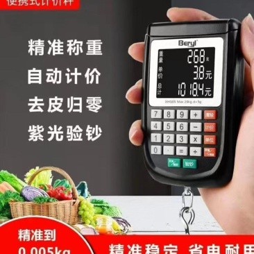 高精度计价电子称精准手提秤弹簧钩秤快递行李秤家用买卖秤