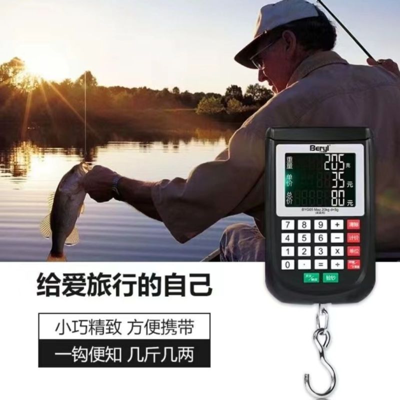 高精度计价电子称精准手提秤弹簧钩秤快递行李秤家用买卖秤