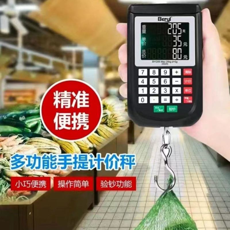 高精度计价电子称精准手提秤弹簧钩秤快递行李秤家用买卖秤