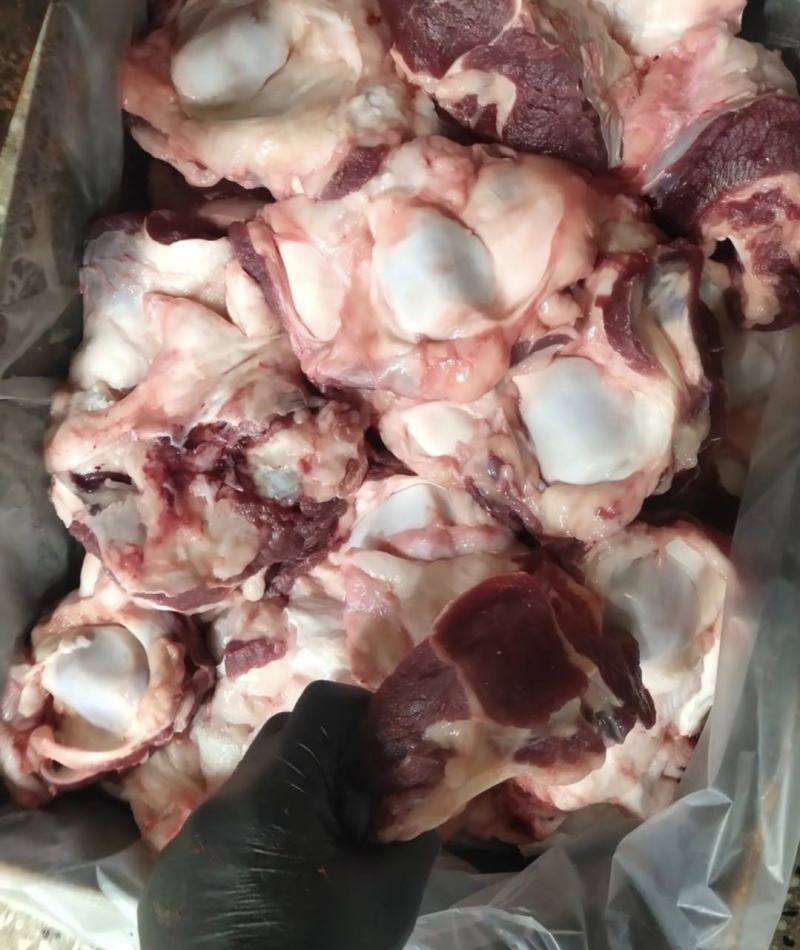 国产不水筋少肉多牛窝骨质量保证价格实惠批发价全国发