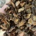 中药材正品新货没药进口没药无硫无添加中草药店乳香