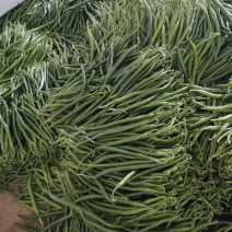 唐山滦南蔬菜