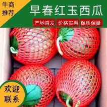【推荐】西瓜，早春红玉西瓜，皮薄肉多，一手货源视频看货