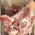 前排切条规格10kg