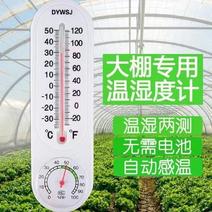 大棚温度计农业用高精度种植养殖壁挂式温室大棚内用温湿度