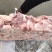 正二八碎肉规格20kg