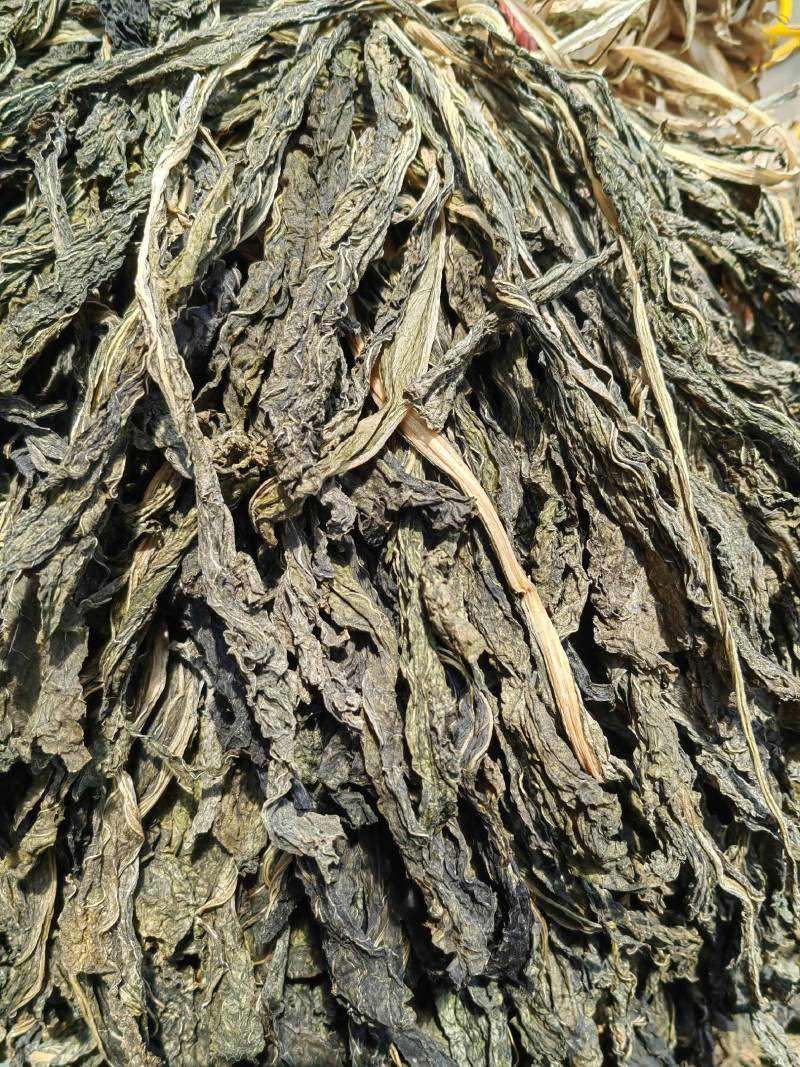 芥菜干菜，焯水自然晾晒，无任何添加，大量有货，欢迎选购