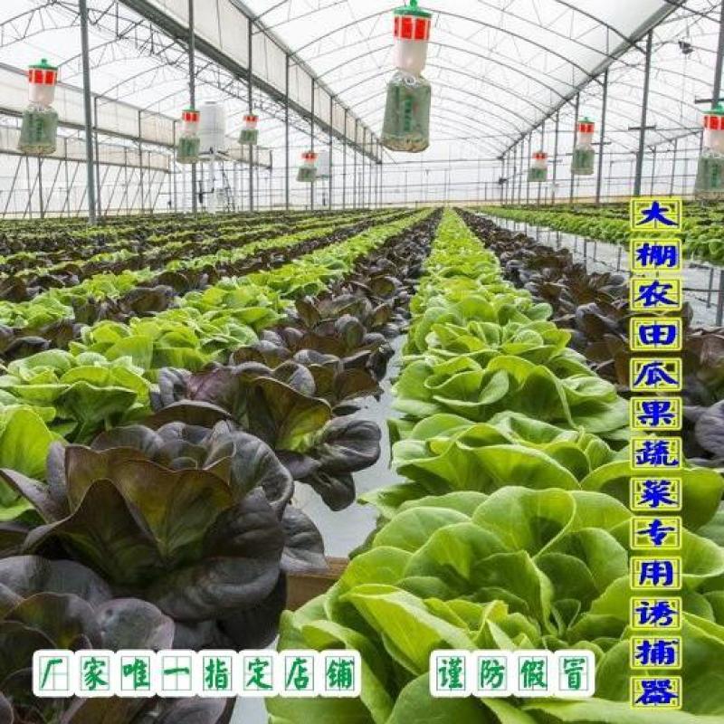 飞蛾陷阱夜娥诱捕器防风夜蛾诱芯大棚蔬菜瓜果捕蛾器果园懒人