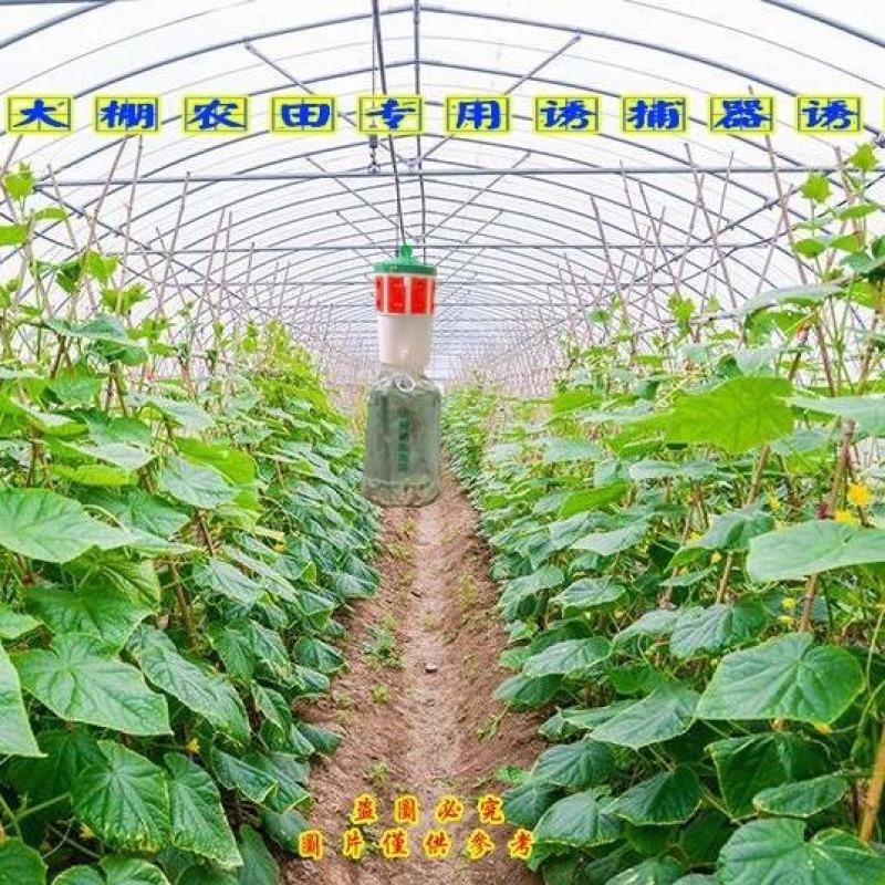 飞蛾陷阱夜娥诱捕器防风夜蛾诱芯大棚蔬菜瓜果捕蛾器果园懒人