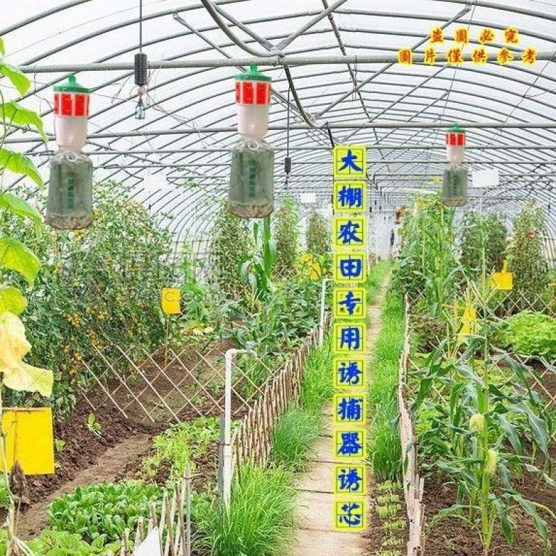 飞蛾陷阱夜娥诱捕器防风夜蛾诱芯大棚蔬菜瓜果捕蛾器果园懒人