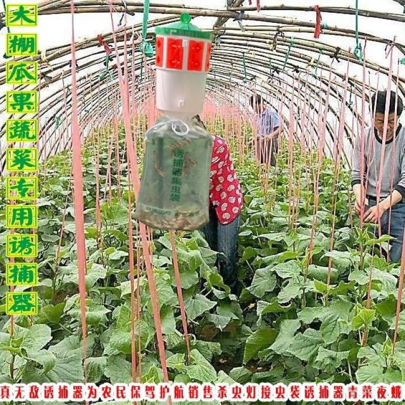 飞蛾陷阱夜娥诱捕器防风夜蛾诱芯大棚蔬菜瓜果捕蛾器果园懒人