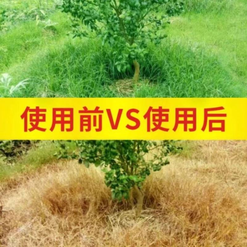 32%科信滴酸草甘膦非耕地杂草正品农药除草剂老品牌